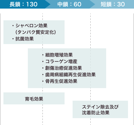 シャペロン効果（タンパク質安定化）抗菌効果 細胞増殖効果  コラーゲン増産 創傷治癒促進効果 歯周病組織再生促進効果 骨再生促進効果 育毛効果 ステイン除去及び沈着防止効果