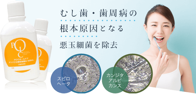 むし歯・歯周病の根本原因となる悪玉細菌を除去　スピロヘータ・カンジタアルビカンス